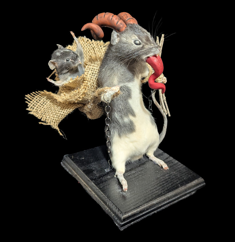 Small Krampus Rat Taxidermy-Taxidermy-Classic mouse parade-PaxtonGate