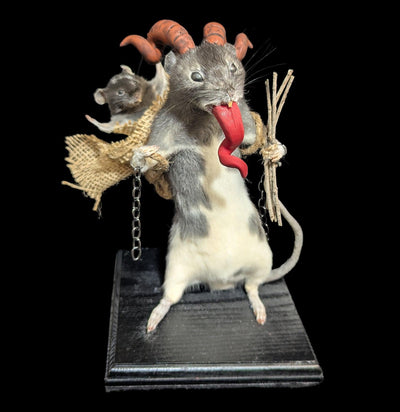 Large Taxidermy Krampus Rat-Taxidermy-Classic mouse parade-PaxtonGate