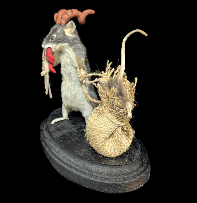 Small Krampus Rat Taxidermy-Taxidermy-Classic mouse parade-PaxtonGate