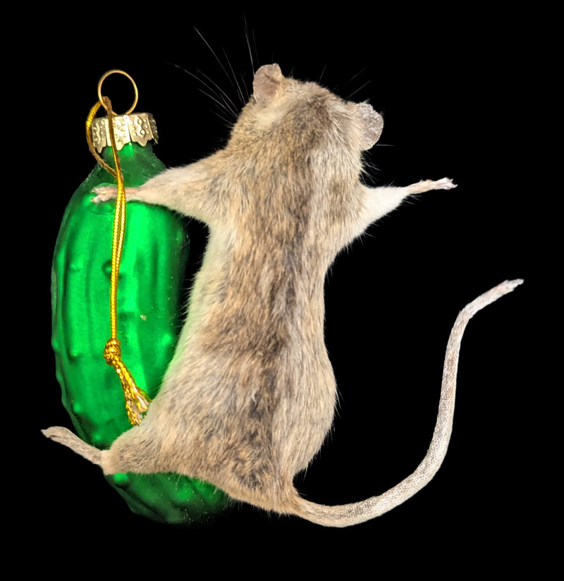 Taxidermy Mouse on a Pickle Ornament-Taxidermy-Classic mouse parade-PaxtonGate