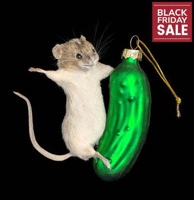 Taxidermy Mouse on a Pickle Ornament-Taxidermy-Classic mouse parade-PaxtonGate