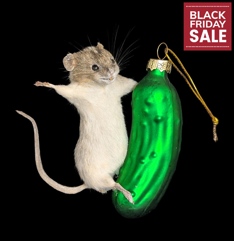 Taxidermy Mouse on a Pickle Ornament-Taxidermy-Classic mouse parade-PaxtonGate