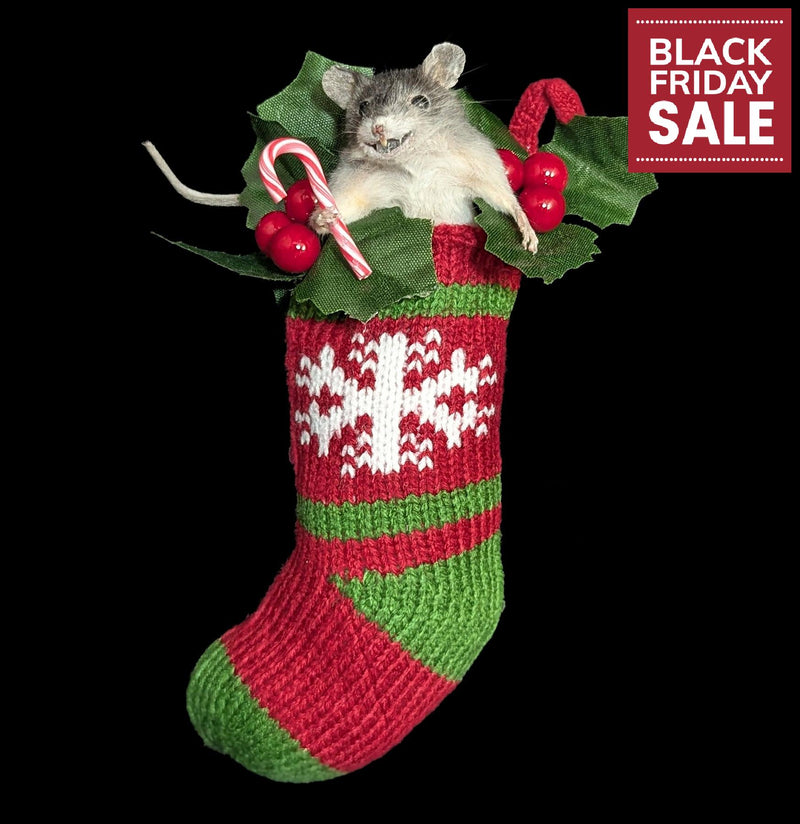Taxidermy Mouse in Stocking-Taxidermy-Classic mouse parade-PaxtonGate