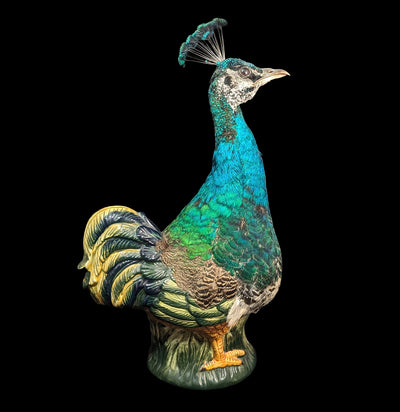 Peafowl Cookie Jar Taxidermy-Taxidermy-Geoffrey Vassallo-PaxtonGate