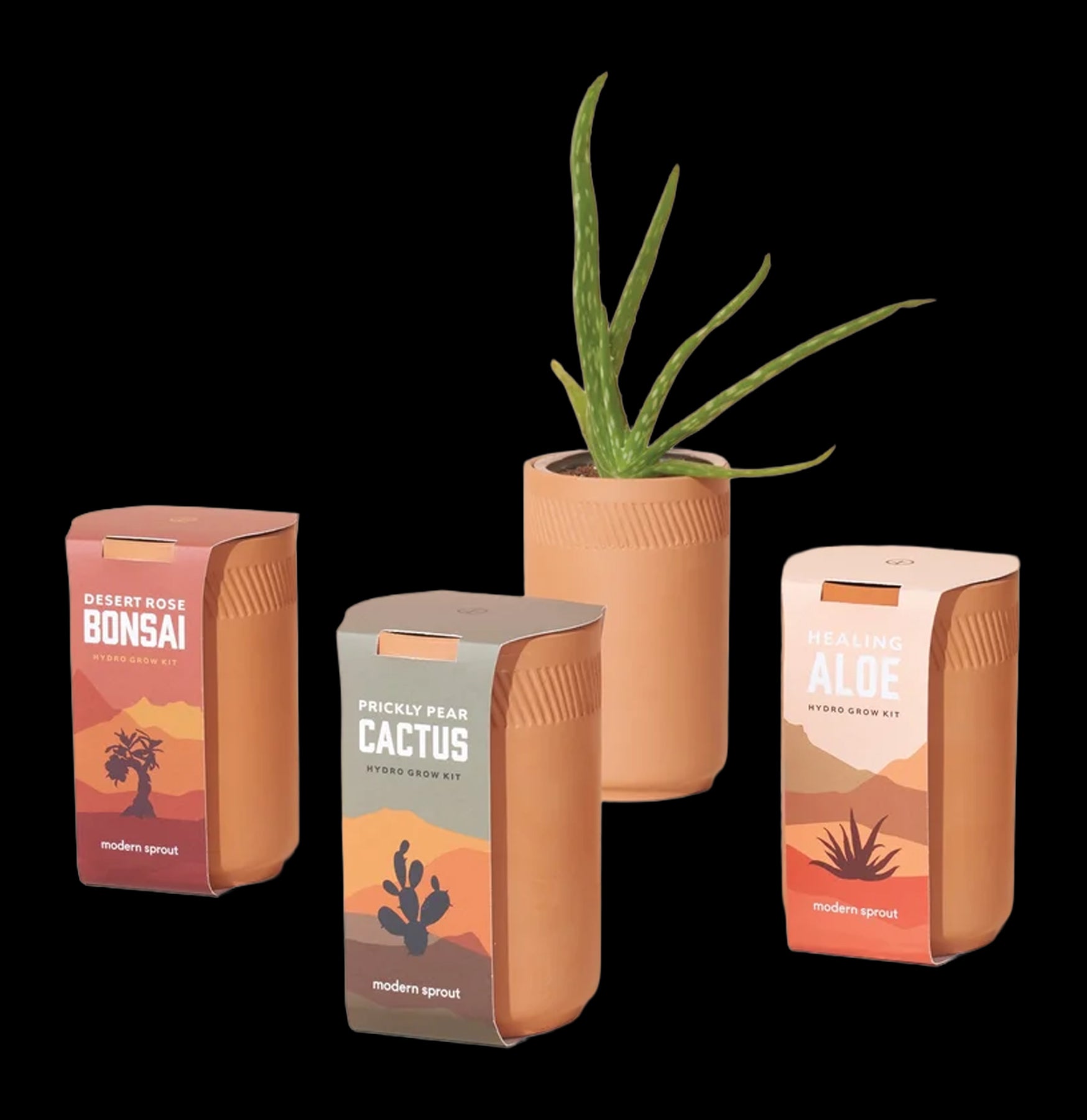 prickly pear cactus hydro grow kit Modern Sprout Prickly Pear Cactus Grow Kit