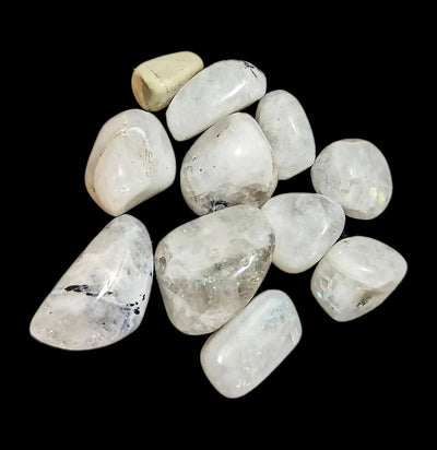 Tumbled Rainbow Moonstone-Minerals-Elite Exports-PaxtonGate