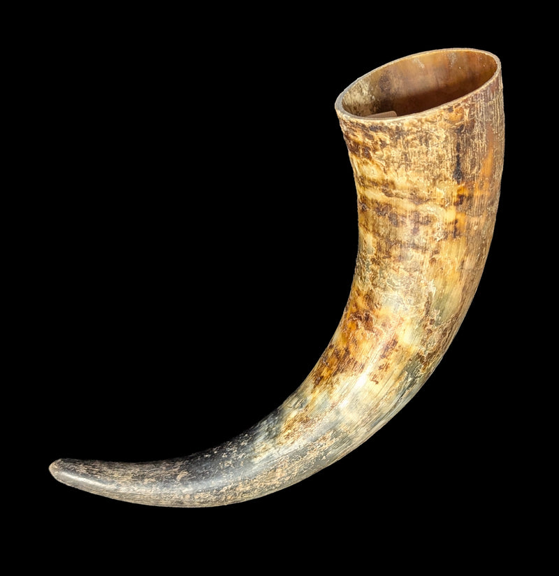 Water Buffalo Horn-Skulls & Bones-Black Bear Haversack-PaxtonGate