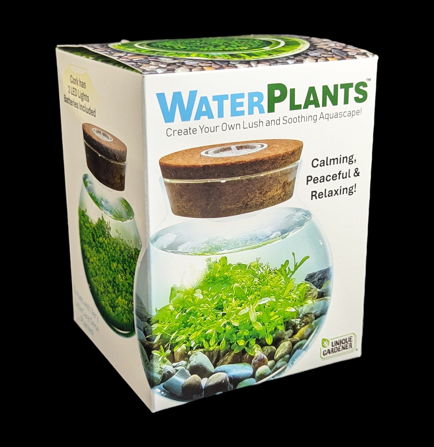 plant terrarium kits WaterPlants