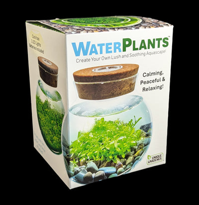 Waterplant Terrarium Kit-Plants-Silver Circle Productions-PaxtonGate