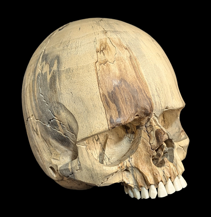 Carved Tamarind Wood Skull-Decor-OddNot-PaxtonGate