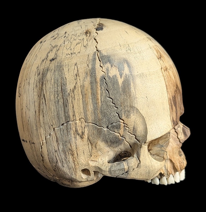Carved Tamarind Wood Skull-Decor-OddNot-PaxtonGate