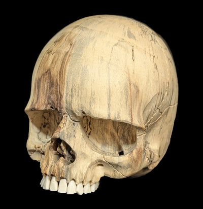 Carved Tamarind Wood Skull-Decor-OddNot-PaxtonGate