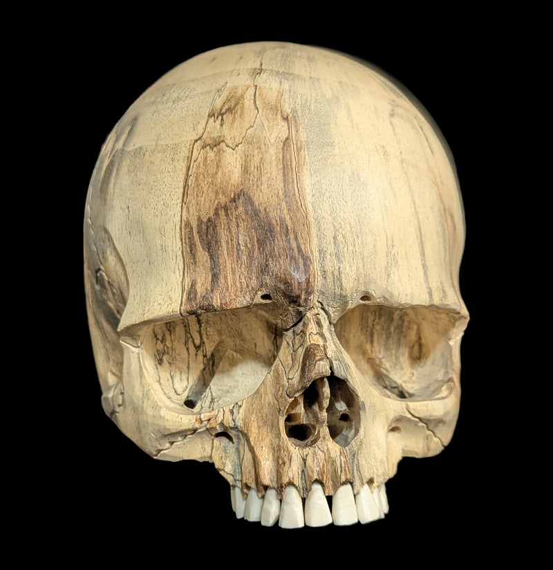Carved Tamarind Wood Skull-Decor-OddNot-PaxtonGate