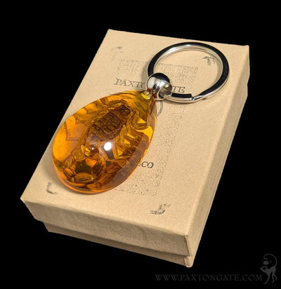 Golden Scorpion Teardrop Keychain-Insects-Real Insect Company-PaxtonGate