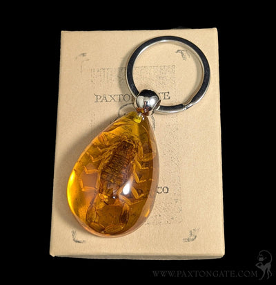 Golden Scorpion Teardrop Keychain-Insects-Real Insect Company-PaxtonGate