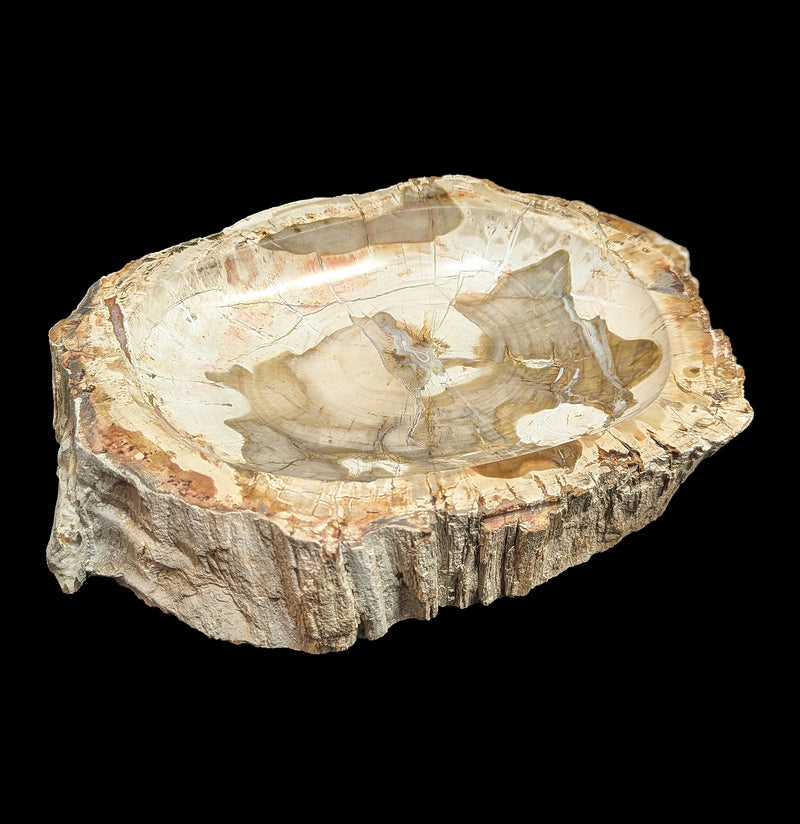 Petrified Wood Bowl-Fossils-Rock Paradise-PaxtonGate