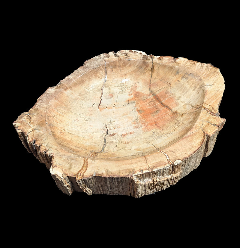 Petrified Wood Bowl-Fossils-Rock Paradise-PaxtonGate