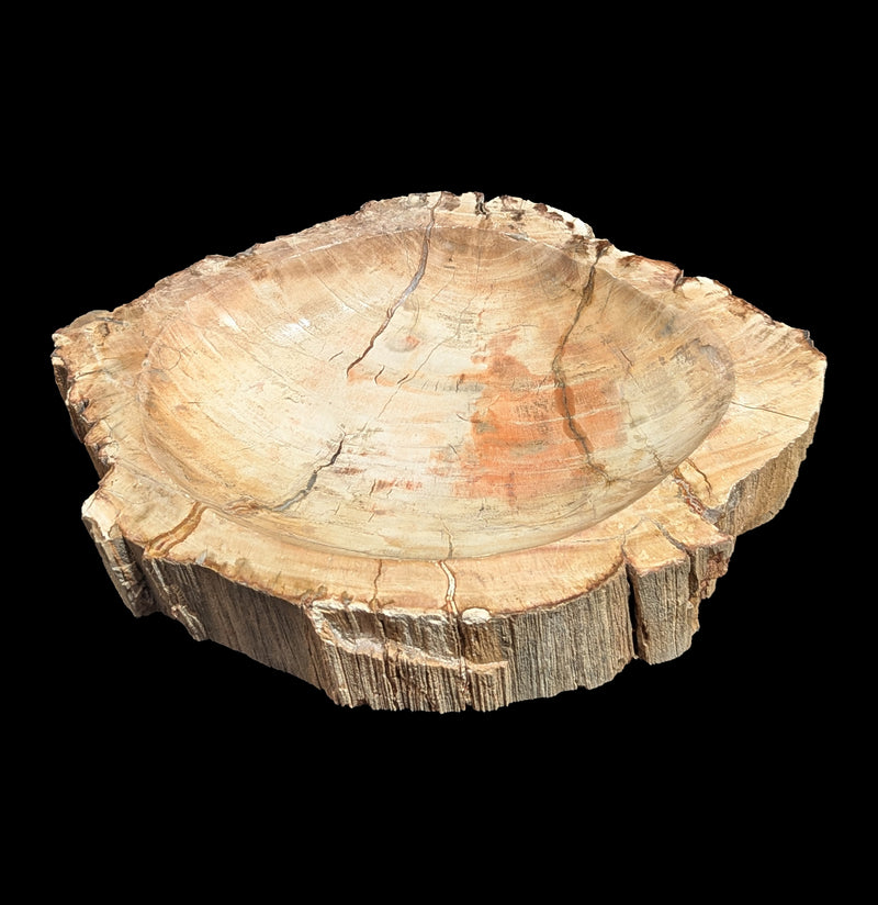 Petrified Wood Bowl-Fossils-Rock Paradise-PaxtonGate
