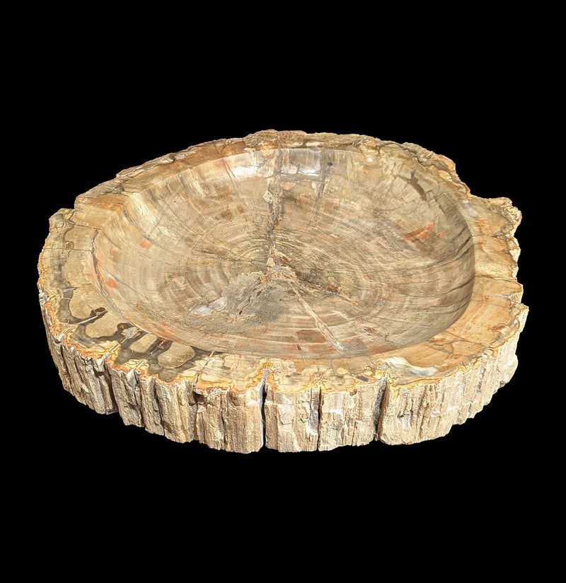 Petrified Wood Bowl-Fossils-Rock Paradise-PaxtonGate
