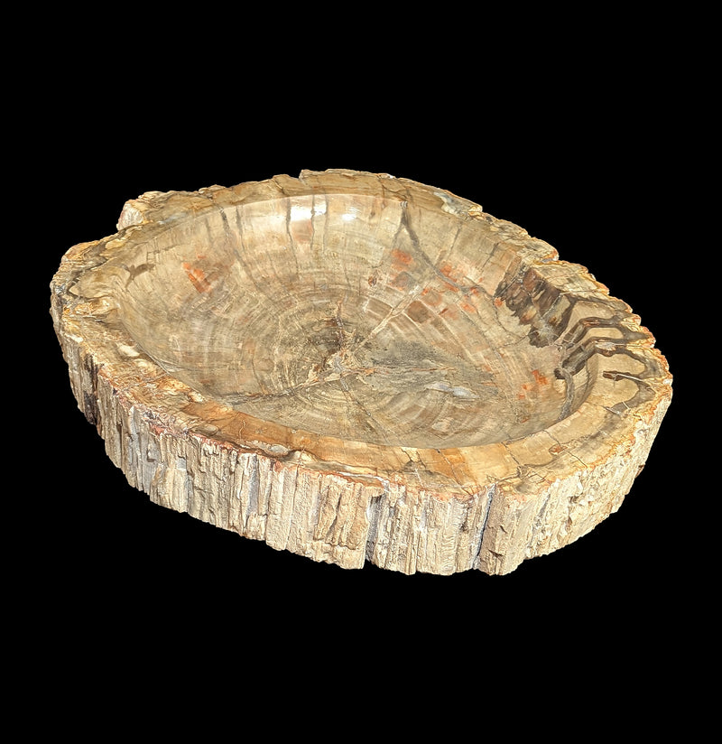 Petrified Wood Bowl-Fossils-Rock Paradise-PaxtonGate