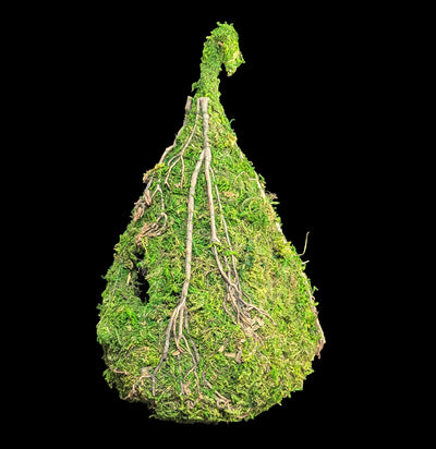 Raindrop Moss Birdhouse-Garden Supplies-SuperMoss-PaxtonGate