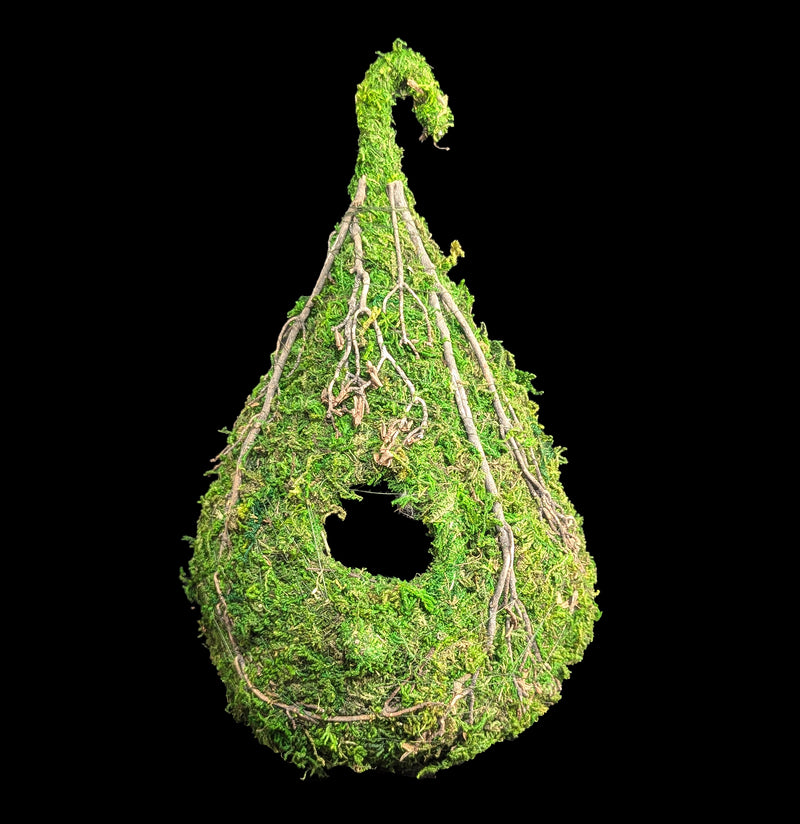 Raindrop Moss Birdhouse-Garden Supplies-SuperMoss-PaxtonGate