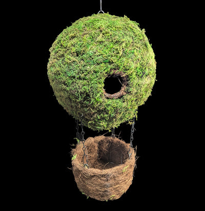 Air Balloon Moss Birdhouse-Garden Supplies-SuperMoss-PaxtonGate