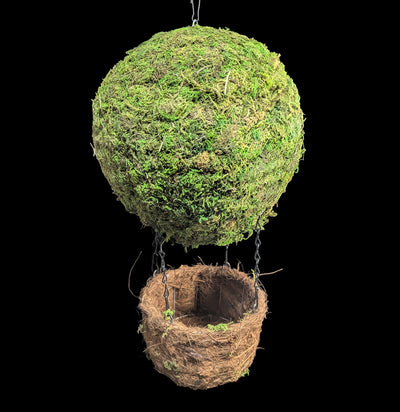Air Balloon Moss Birdhouse-Garden Supplies-SuperMoss-PaxtonGate