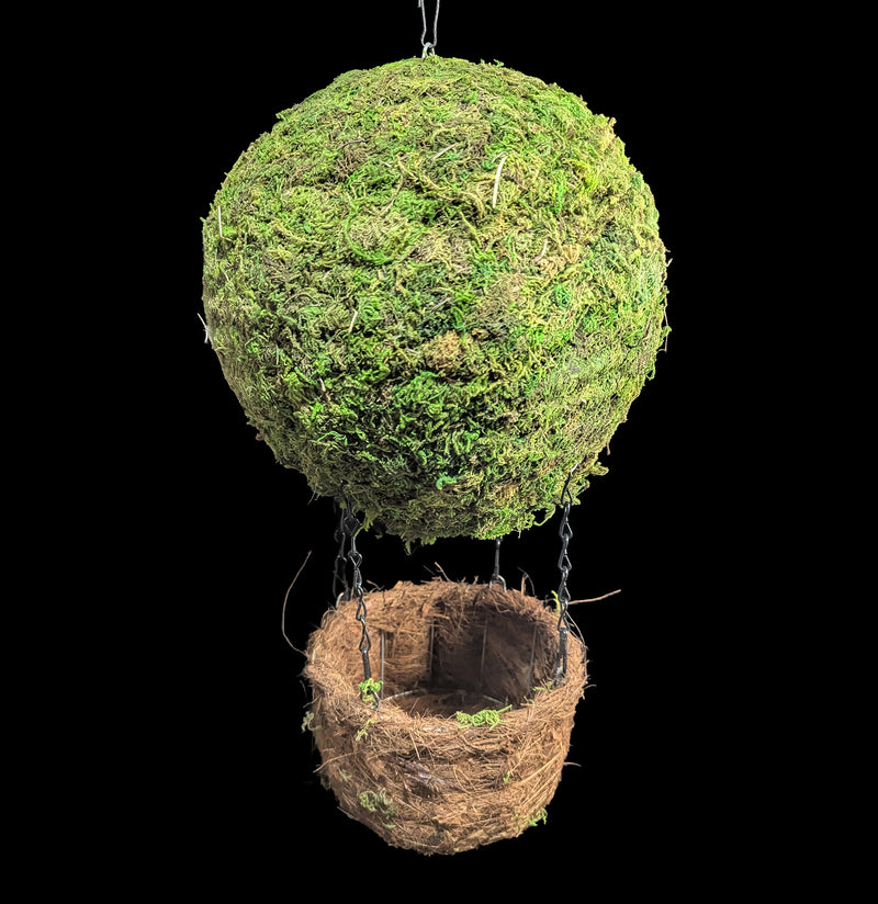 Air Balloon Moss Birdhouse-Garden Supplies-SuperMoss-PaxtonGate