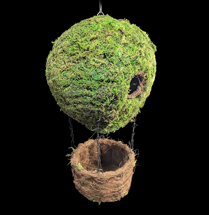 Air Balloon Moss Birdhouse-Garden Supplies-SuperMoss-PaxtonGate