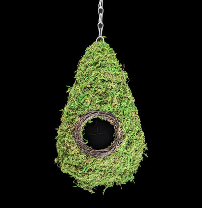 Moss Bird House-Pots&Mntg-Evergreen Enterprises-PaxtonGate