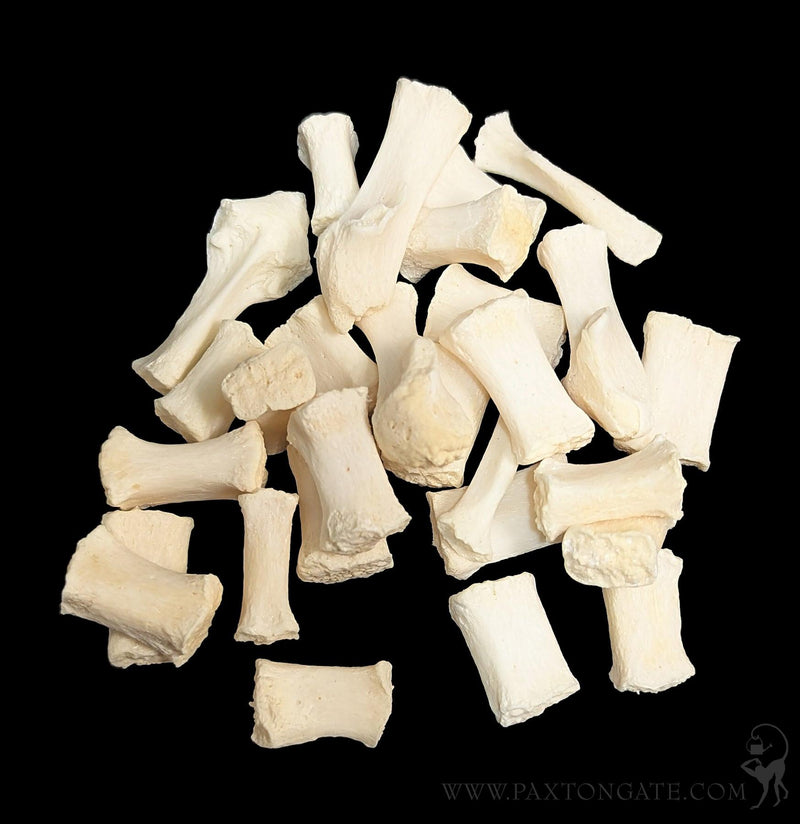 Dog Sternum Bone-Skulls & Bones-Skulls Unlimited-PaxtonGate