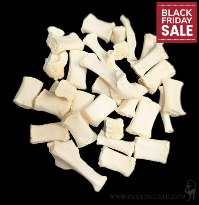 Dog Sternum Bone-Skulls & Bones-Skulls Unlimited-PaxtonGate