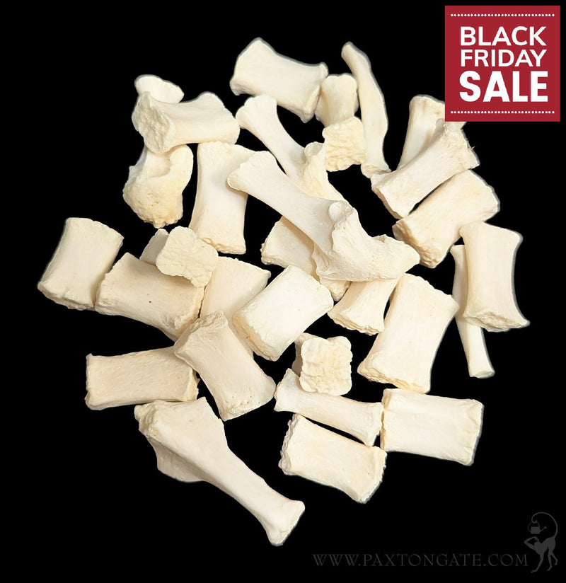 Dog Sternum Bone-Skulls & Bones-Skulls Unlimited-PaxtonGate