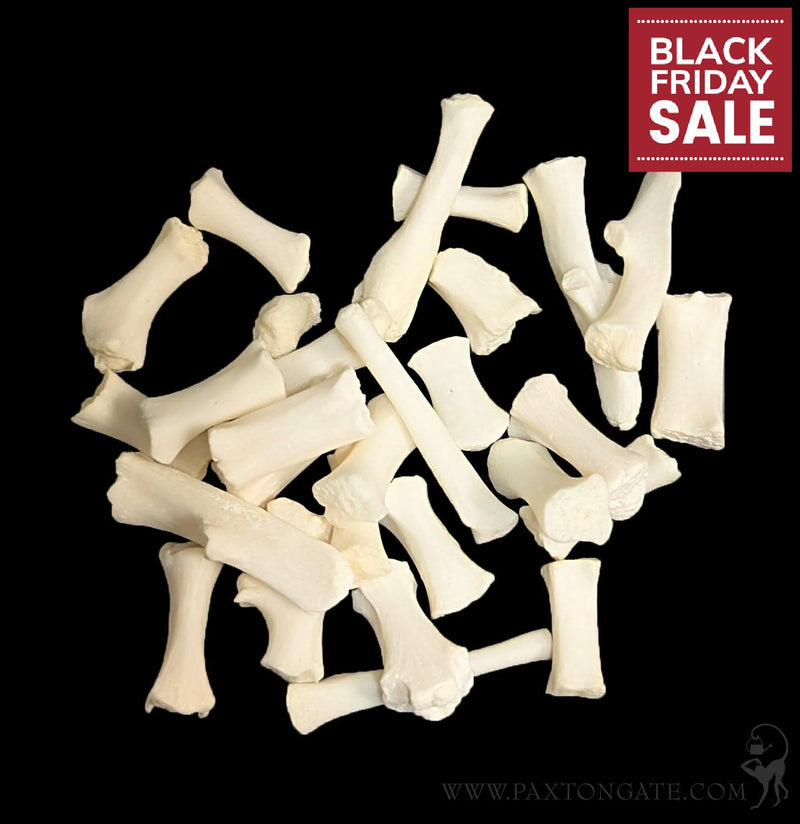 Cat Sternum Bones-Skulls & Bones-Skulls Unlimited-PaxtonGate