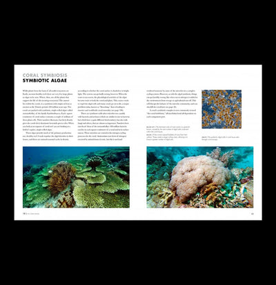 Coral Reefs: A Natural History-Books-Microcosm Publishing-PaxtonGate