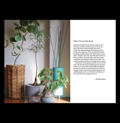 A Beginners Guide to House Plants-Books-Ingram Book Company-PaxtonGate