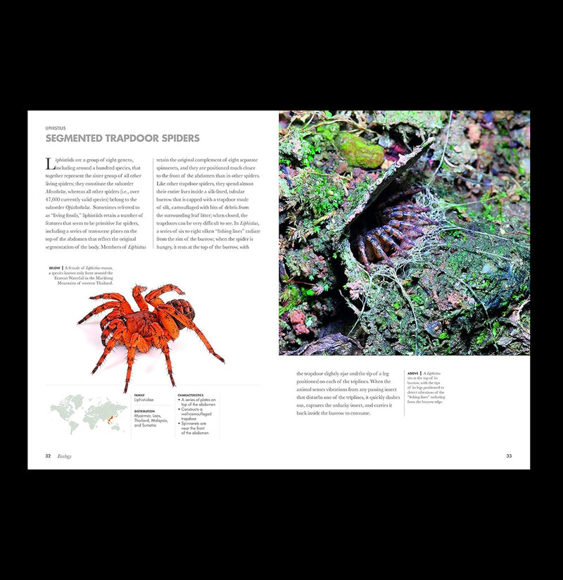 Spiders of the World: A Natural History-Books-Microcosm Publishing-PaxtonGate
