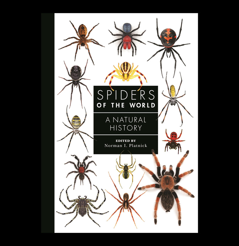 Spiders of the World: A Natural History-Books-Microcosm Publishing-PaxtonGate