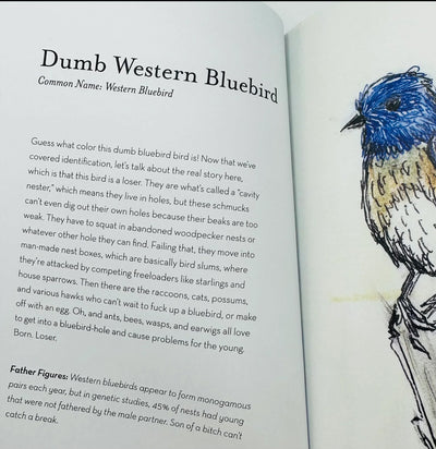 Field Guide to Dumb Birds of North America-Books-Microcosm Publishing-PaxtonGate