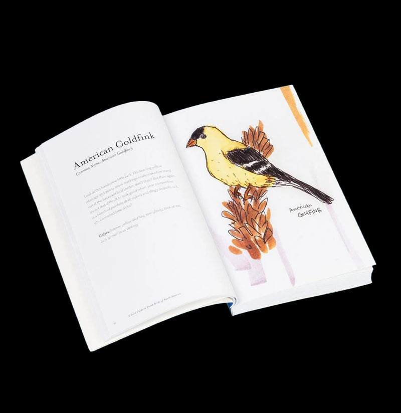 Field Guide to Dumb Birds of North America-Books-Microcosm Publishing-PaxtonGate