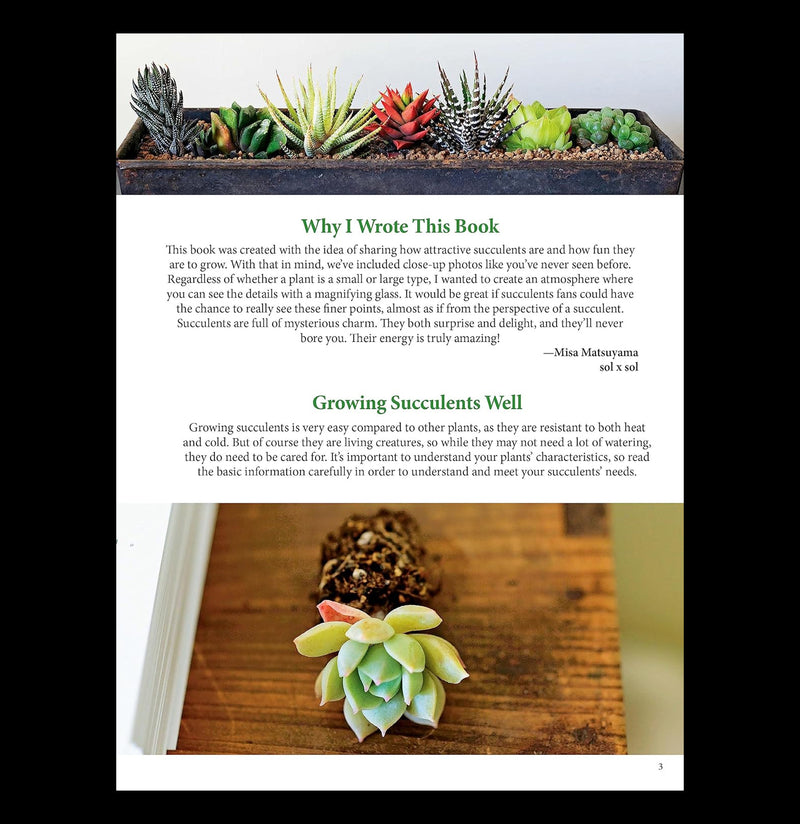A Field Guide to Succulents-Books-Ingram Book Company-PaxtonGate