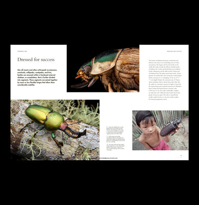 Lives of Beetles: A Natural History of Coleoptera-Books-Microcosm Publishing-PaxtonGate