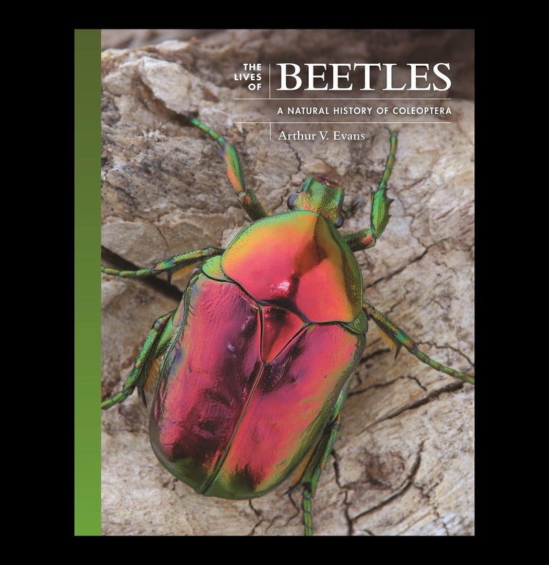 Lives of Beetles: A Natural History of Coleoptera-Books-Microcosm Publishing-PaxtonGate