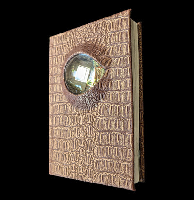 Copper Snake Skin Book Eye-Artwork-Doug Rhodes-PaxtonGate