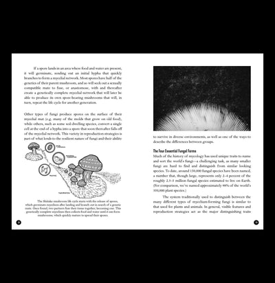 The Mycocultural Revolution: Transforming Our World with Mushrooms, Lichens, and Other Fungi-Books-Microcosm Publishing-PaxtonGate