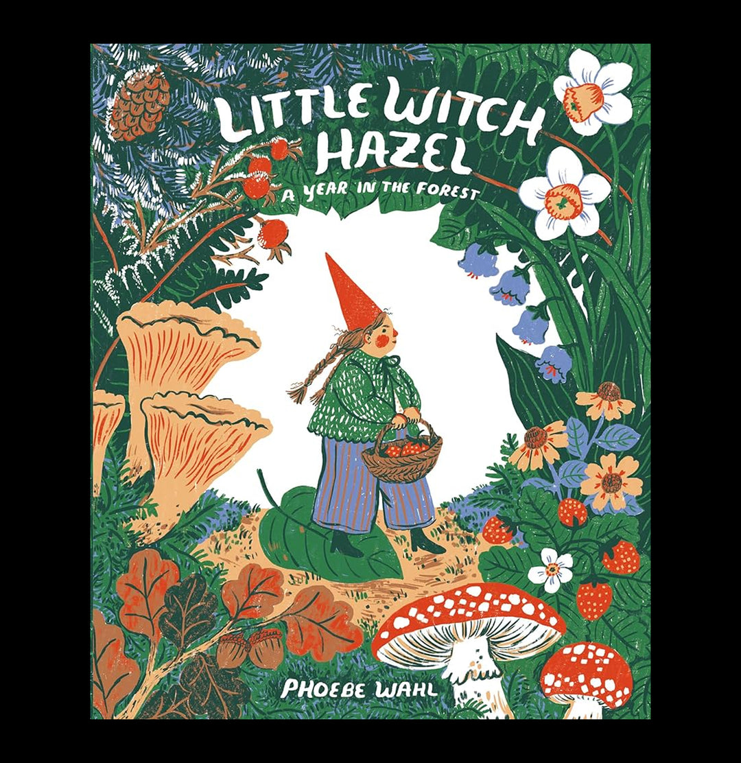 Little Witch Hazel For Sale | Paxton Gate