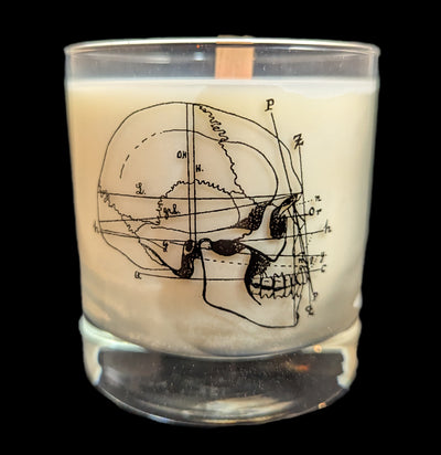 Human Skull Cocktail Candle-Candles-Cognitive Surplus-PaxtonGate