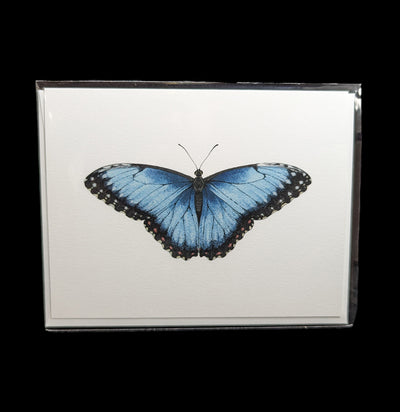 Blue Morpho Greeting Card-Cards-Open Sea-PaxtonGate