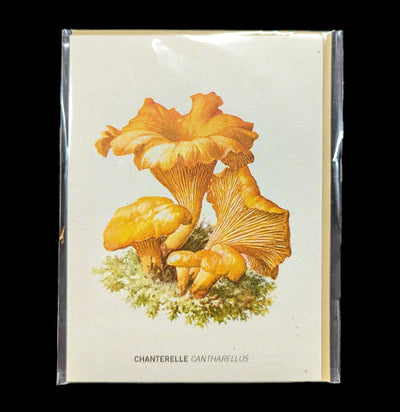 Chanterelle Mushroom Greeting Card-Cards-Cognitive Surplus-PaxtonGate